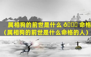 属相狗的前世是什么 🐝 命格（属相狗的前世是什么命格的人）